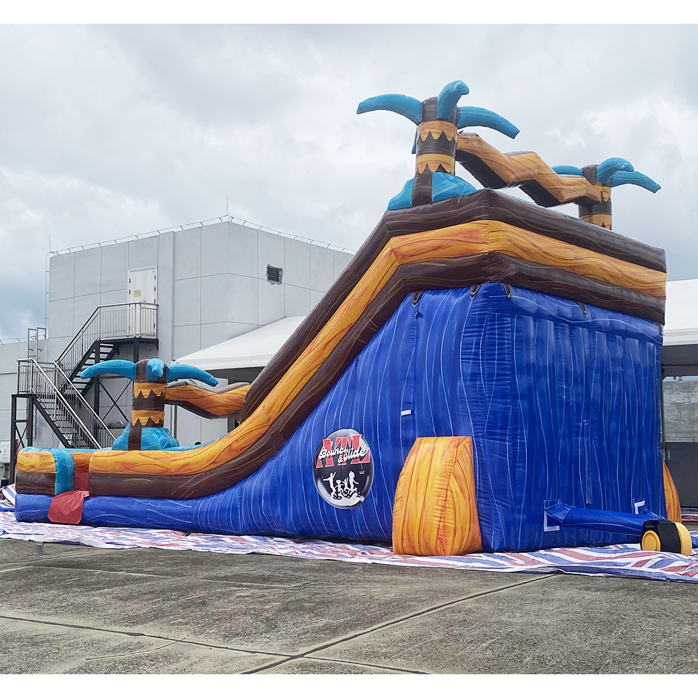 Inflatable Palm Tree Double Water Slide5
